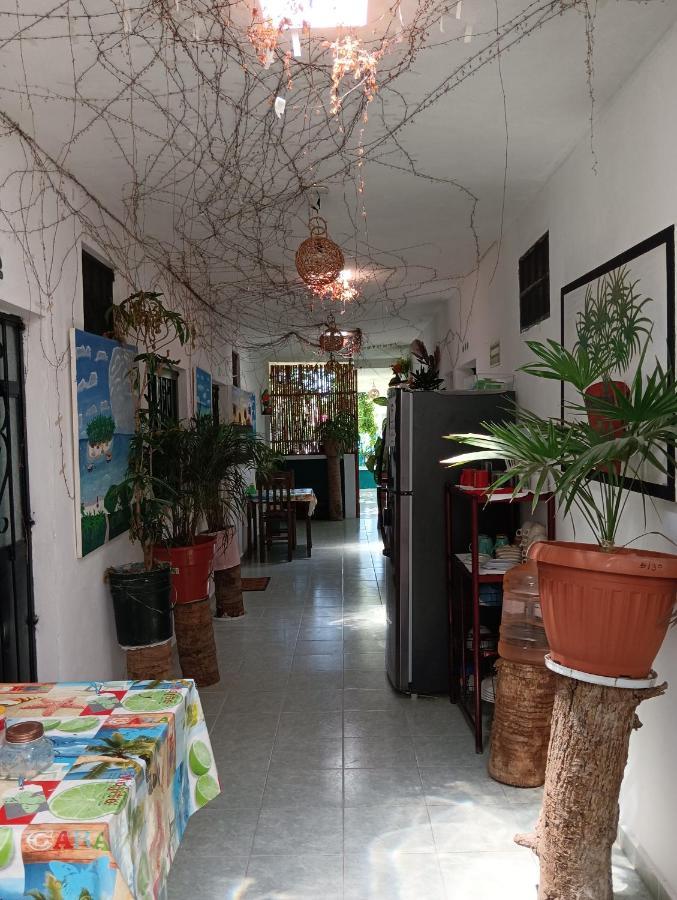 Alojamiento Ya'ax Nah Playa del Carmen Bagian luar foto